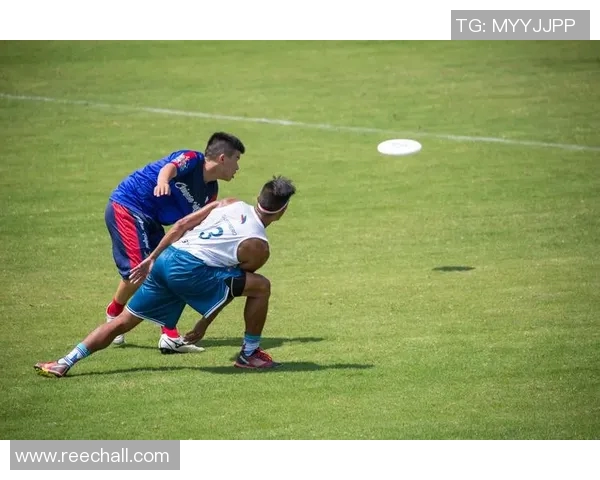 成都飞盘队力量表现数据分析揭示运动员潜力与团队协作的关键因素