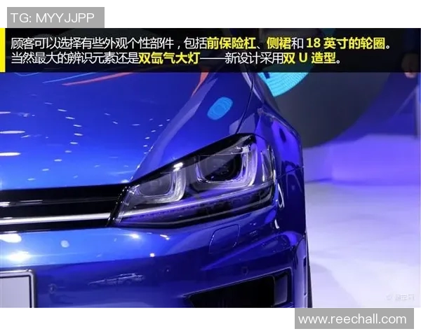 独家解析：WE灵活性与其他品牌的全面对比分析